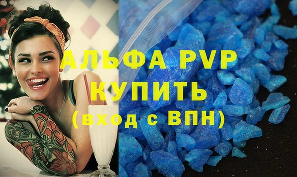 индика Алексин