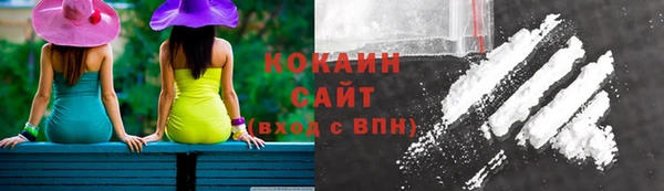 ECSTASY Алзамай