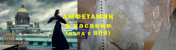 индика Алексин