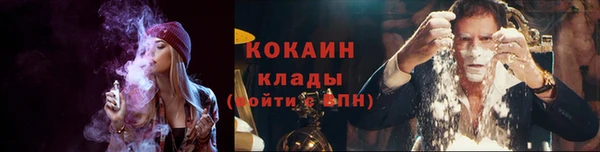 ECSTASY Алзамай