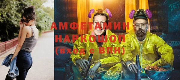 ECSTASY Алзамай