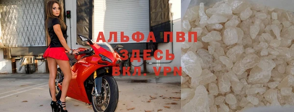 ECSTASY Алзамай