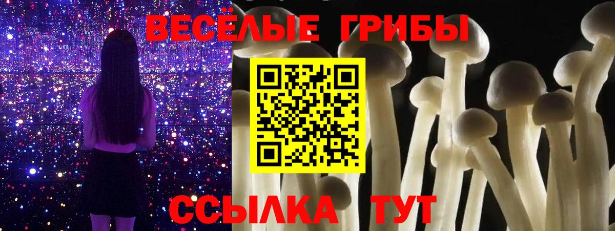 Павлово  Галлюциногенные грибы Psilocybe  Вход с VPN 