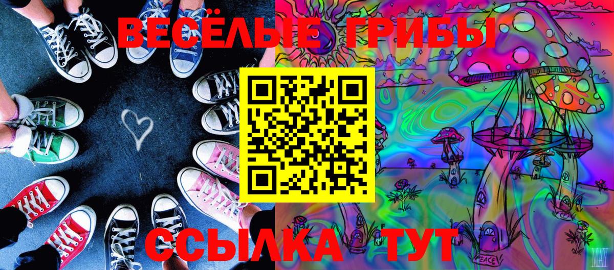 Псилоцибиновые грибы мухоморы Павлово